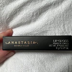 Anastsia Beverly Hills Lip Gloss ... St.Tropez